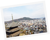 お寺と海